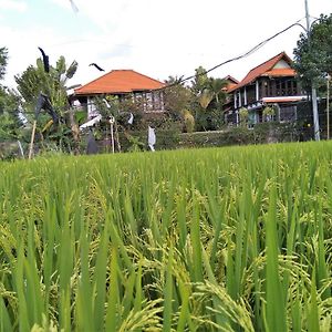 Umah Watu Villas